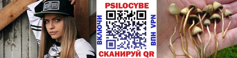 Галлюциногенные грибы Magic Shrooms  Кудрово 