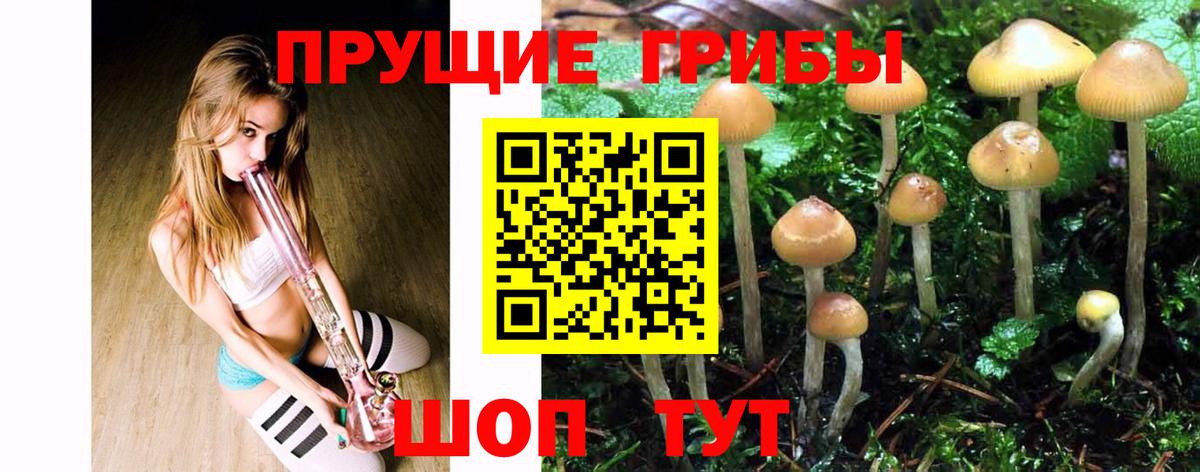 Амфетамин Кудрово