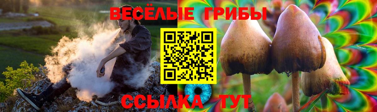 Галлюциногенные грибы Psilocybine cubensis  Вход с VPN  Галлюциногенные грибы Psilocybine cubensis  Кудрово 