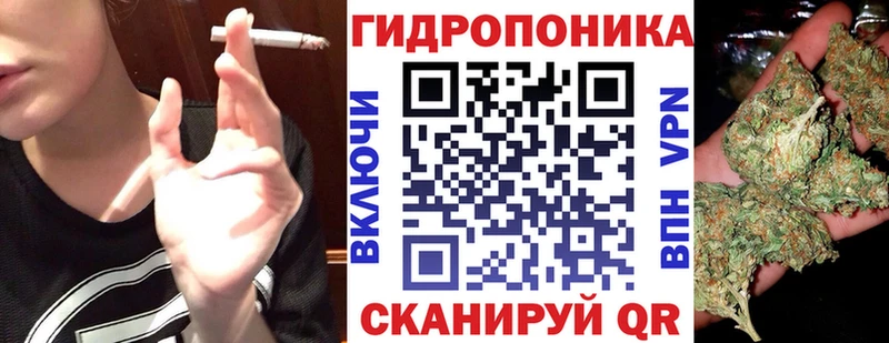 Каннабис OG Kush  где найти наркотики  гидра сайт  Кудрово 
