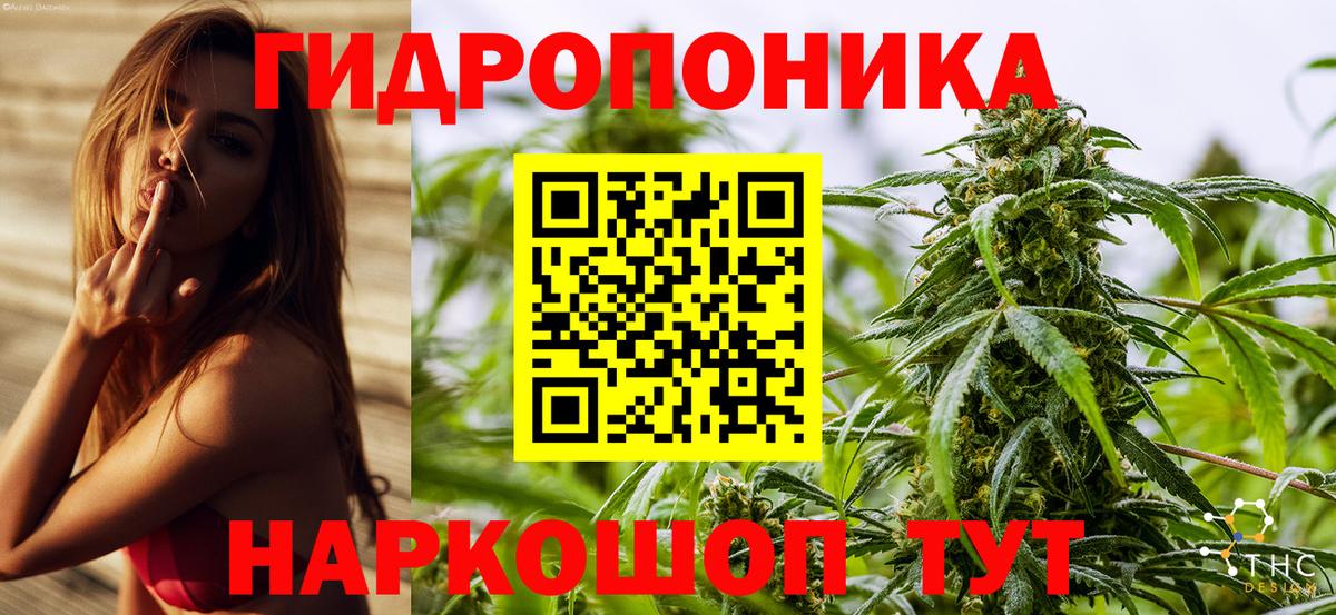 МАРИХУАНА MAZAR Кудрово